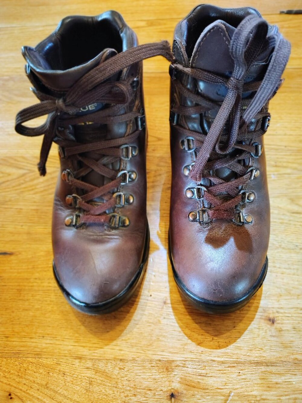 Women's Vasque Sundowner Hiking Boots